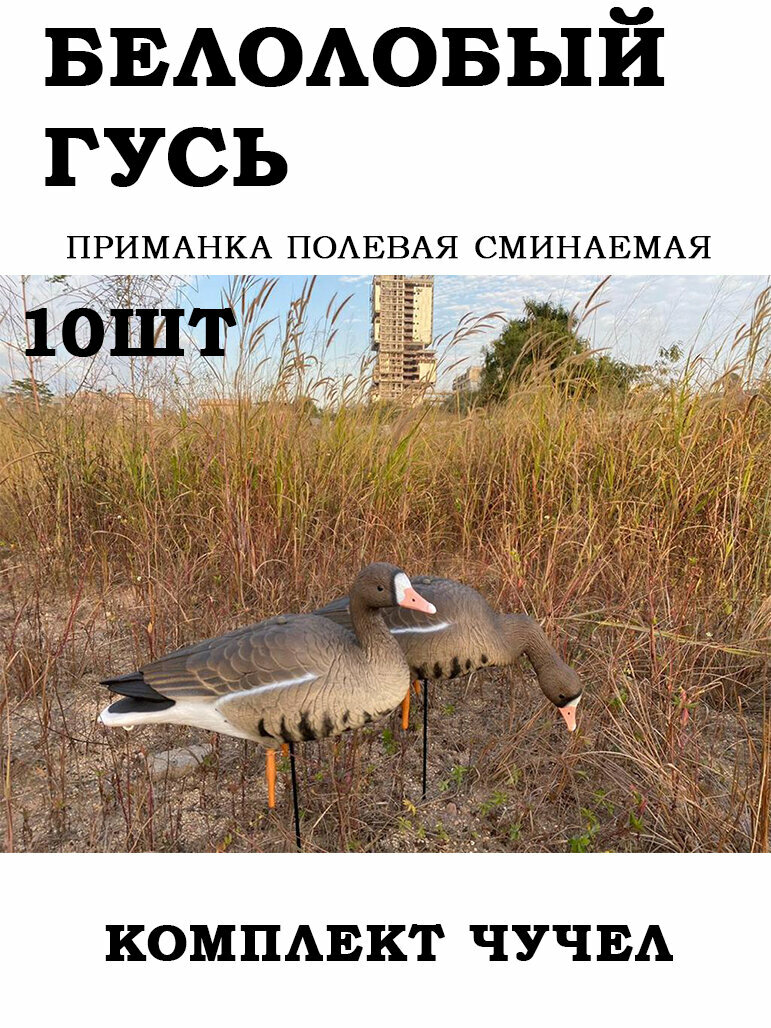 Белолобый гусь Elite 3D, комплект 10 шт (8+2) мягкий пластик