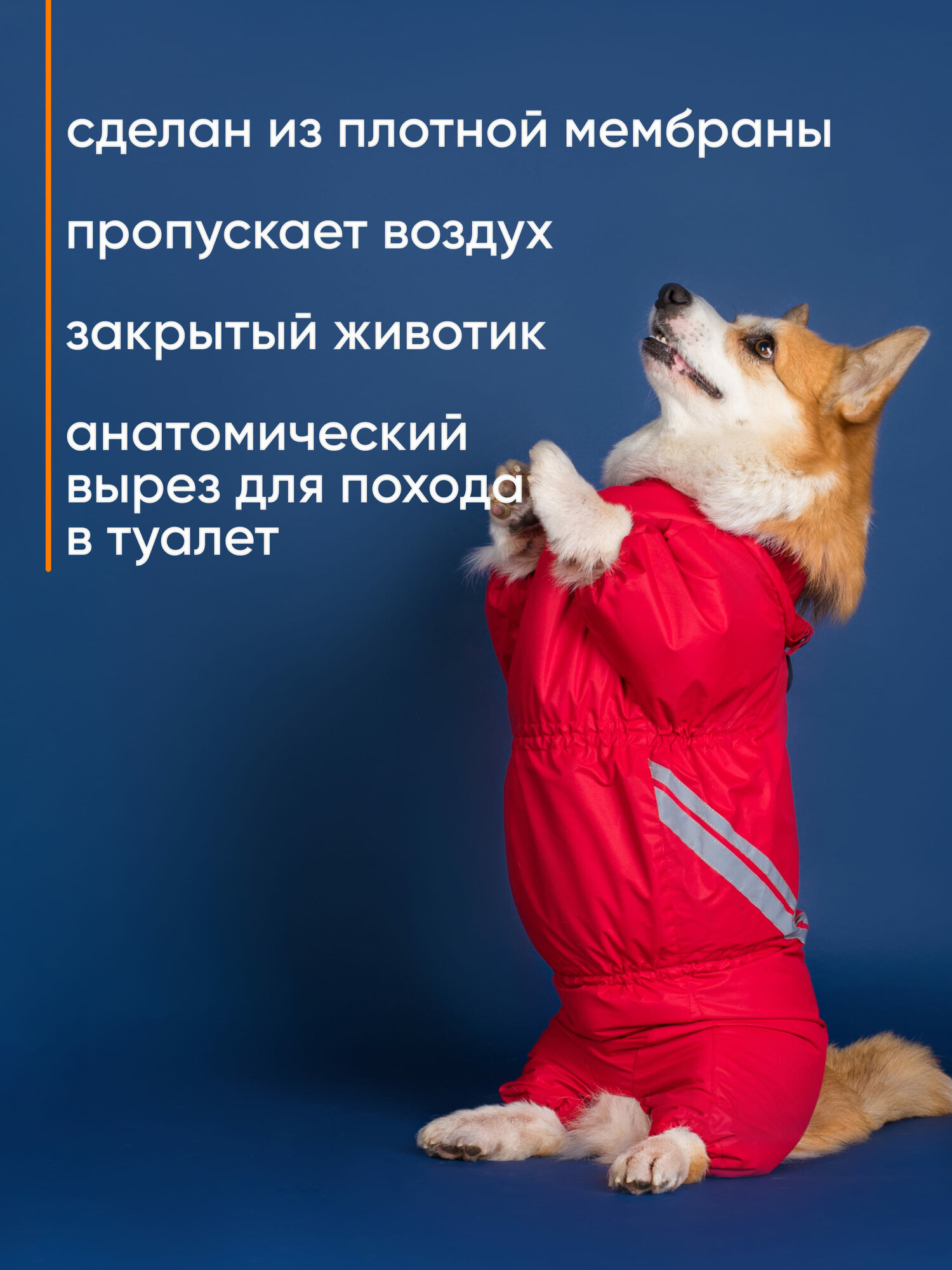 Грязезащитный комбинезон DiploDog для Корги (девочка), Одежда для Корги (девочка) — фото 1