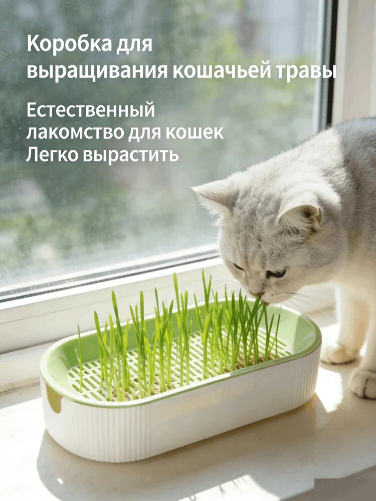 Новый гидропонный ящик для кошачьего туалета для выращивания кошачьей мяты без почвы