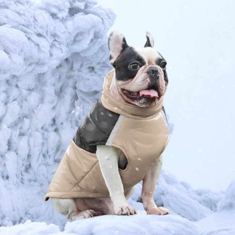 Одежда для собак зимняя жилетка, бежевый, XL - фотография № 10
