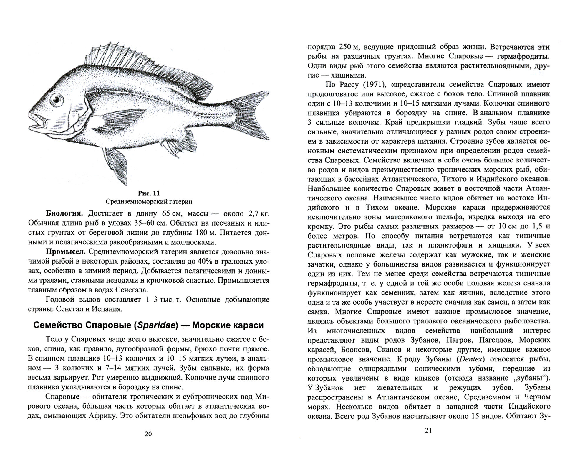 Краткое описание промысловых рыб Мирового океана. Луциановые ,Помадазиевые, Спаровые... Уч. пособие - фото №3