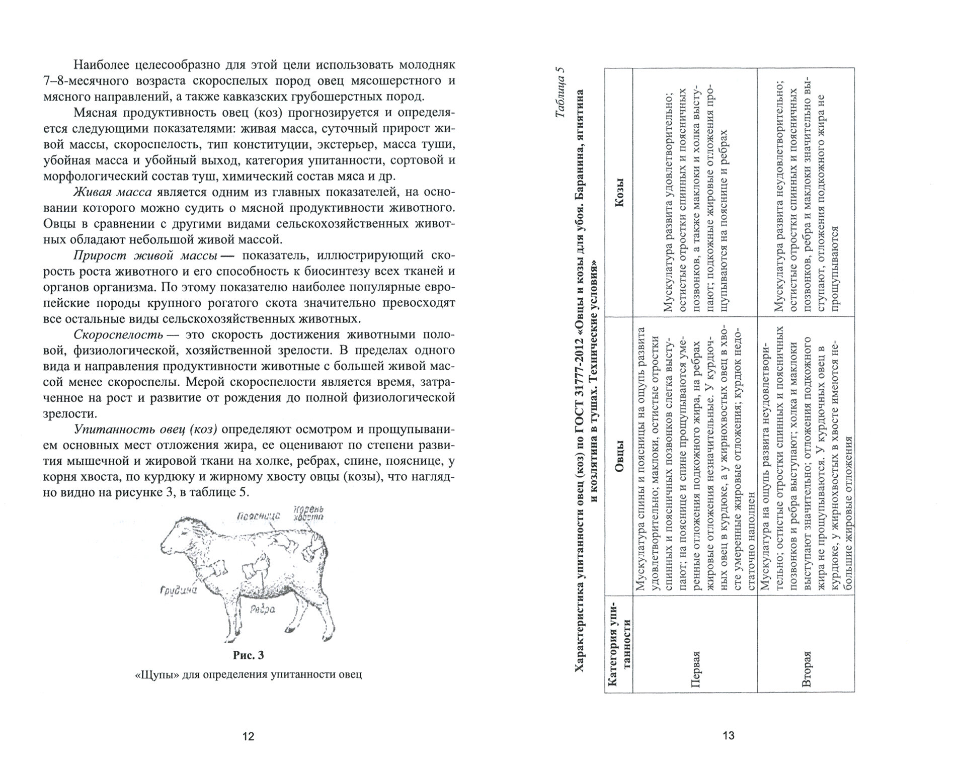 Практикум по овцеводству. Учебное пособие - фото №3
