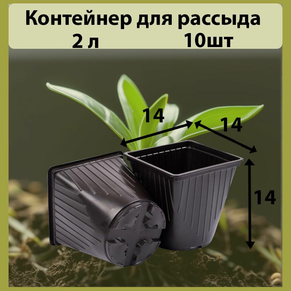 Горшок для рассады 2л, квадратный, размер 14х14х14см, 10шт