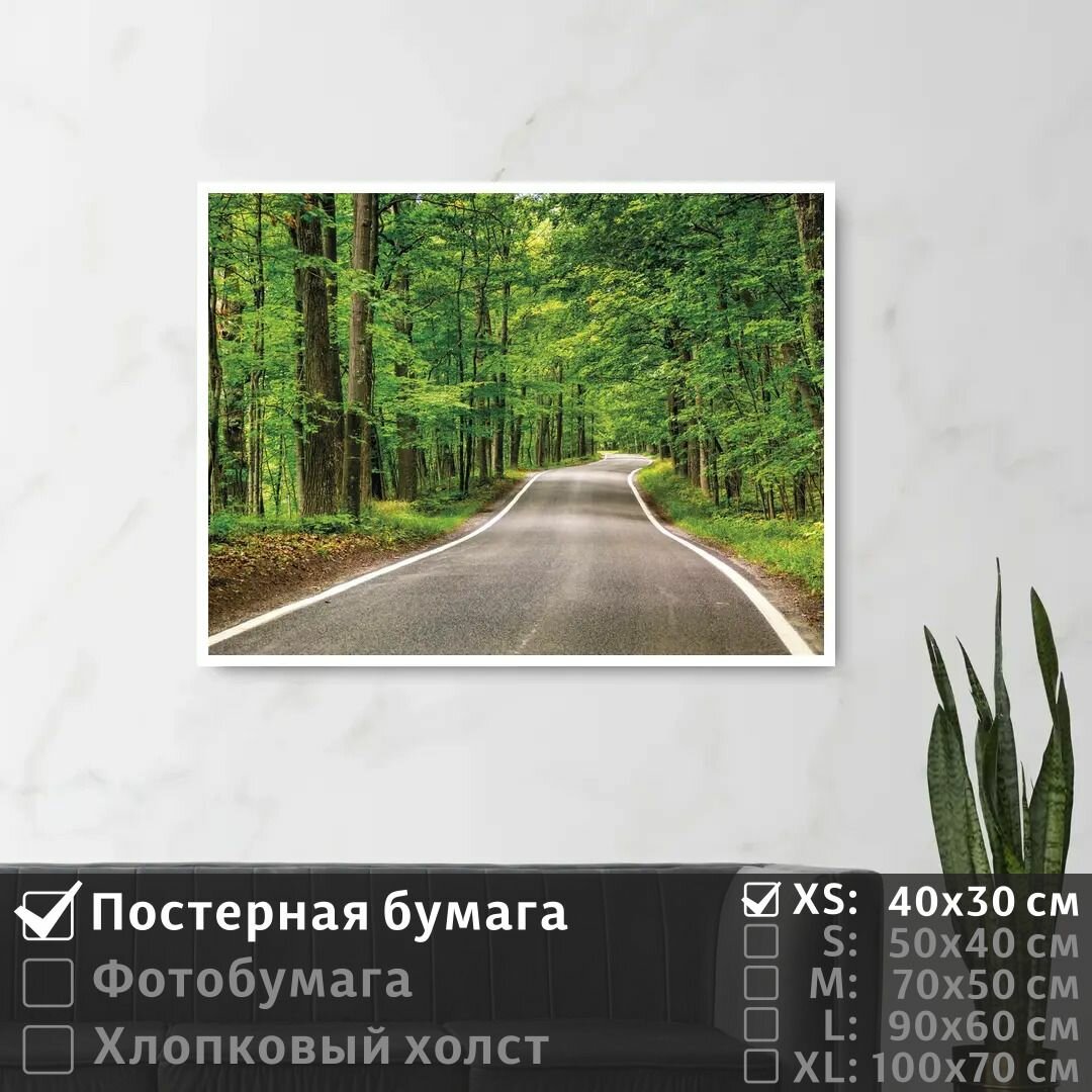 Постер на стену Дорога Уходящая Вдаль В Летнем Лесу 90х60 см ПолиЦентр