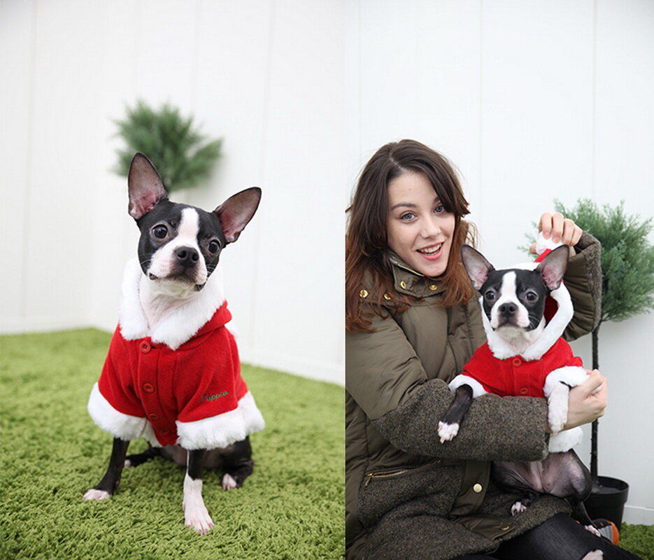PUPPIA Куртка для собак с капюшоном новогодняя "Santa", красная, 5L, 62см (Южная Корея) - фото №5