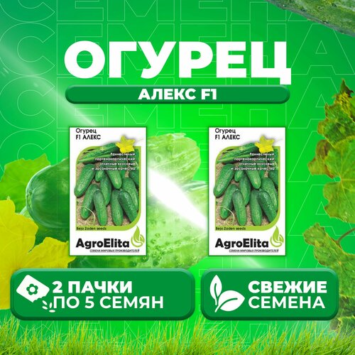 Огурец Алекс F1, 5шт, AgroElita, Bejo (2 уп)