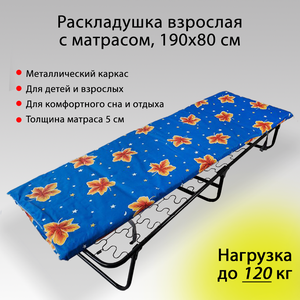 Раскладушка с матрасом взрослая кровать на сетке усиленная до 120 кг