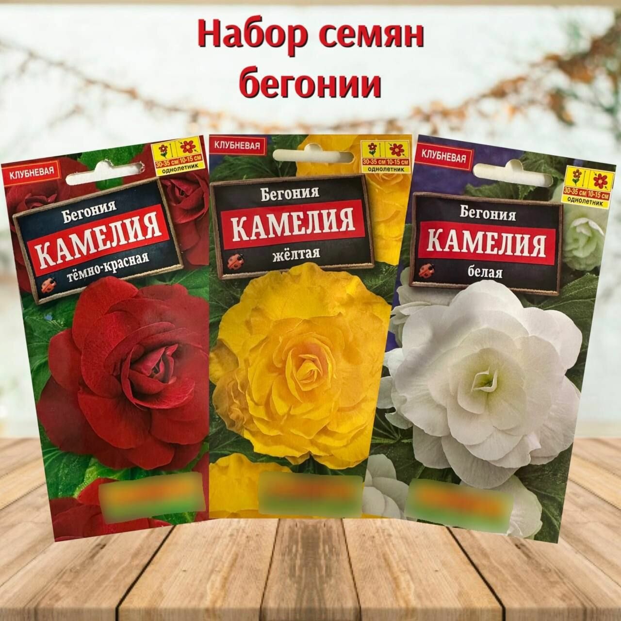 Семена цветов для дома и сада Бегония Камелия набор 3 уп.