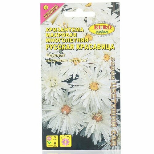 Семена цветов Хризантема Русская красавица, 0,02 г 3 шт