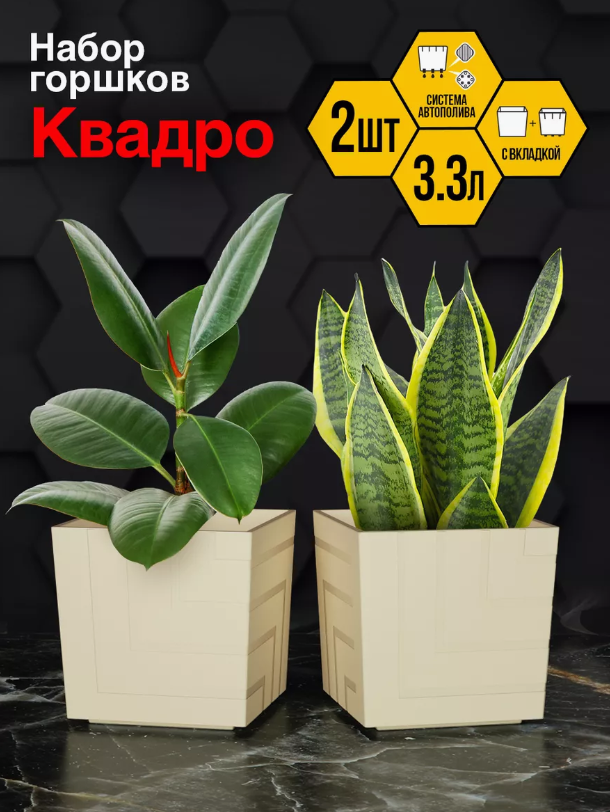 фото Кашпо Ливингрин Квадро