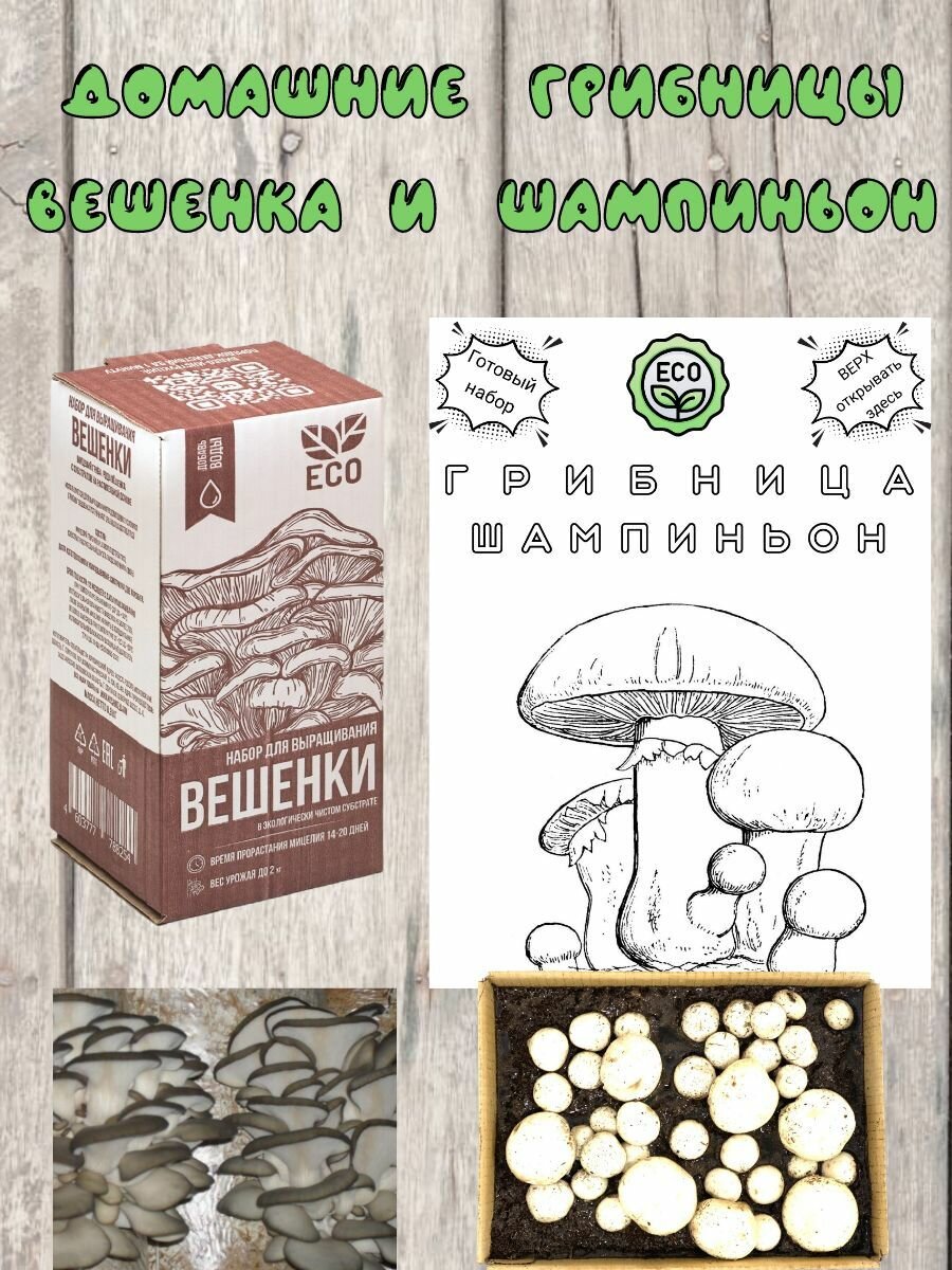 Наборы для выращивания грибов Вешенка и Шампиньоны