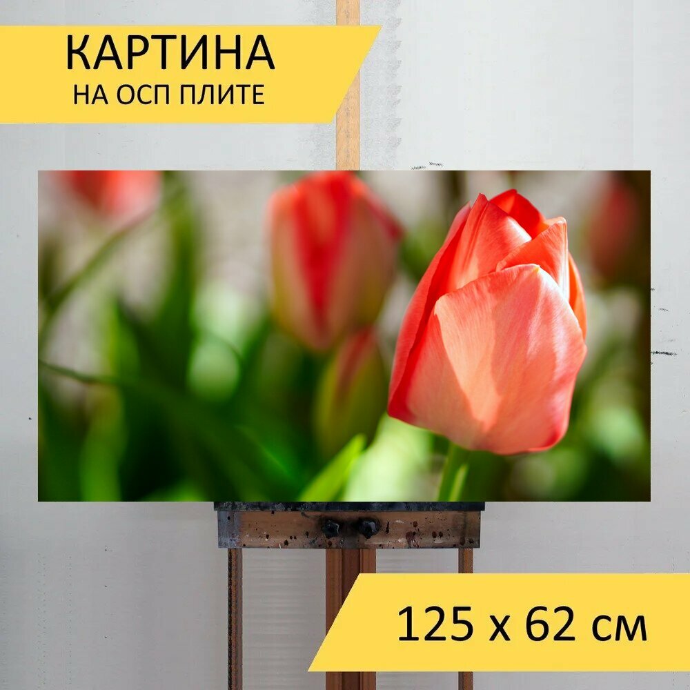 Картина на ОСП 125х62 см. "Тюльпаны, цвести, весна" горизонтальная, для интерьера, с креплениями