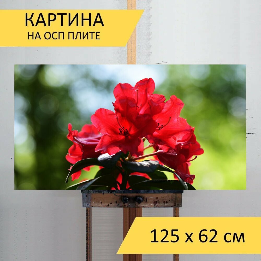 Картина на ОСП 125х62 см. 