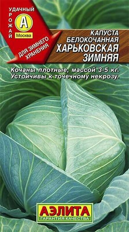 Семена Капуста белокочанная Харьковская зимняя П. (Аэлита) 0,5г