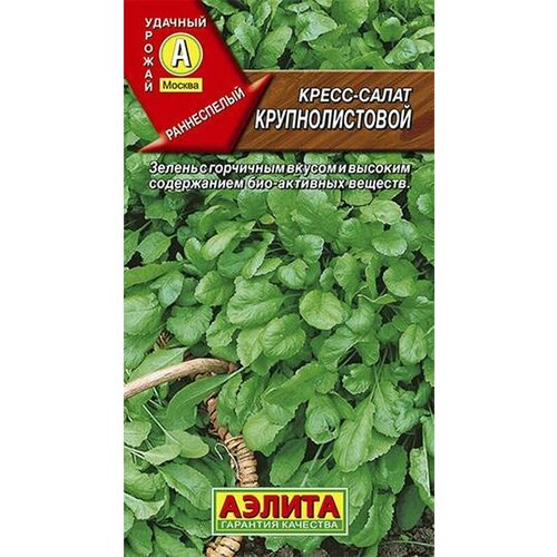Семена Кресс-салат Крупнолистовой (раннеспелый) (Аэлита) 1г семена кресс салат крупнолистовой ц п