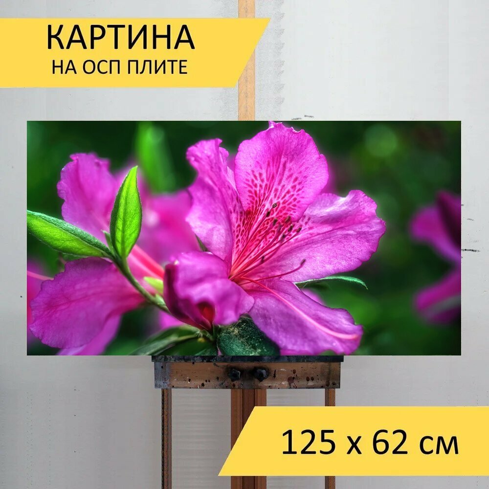 Картина на ОСП 125х62 см. 