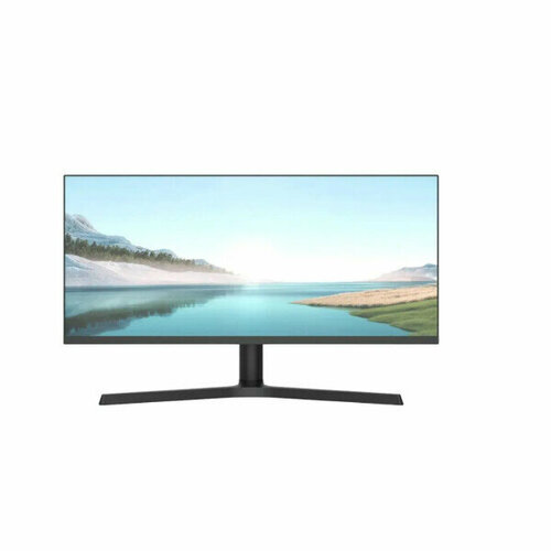 Монитор NPC MB300L-Y 4324000₽