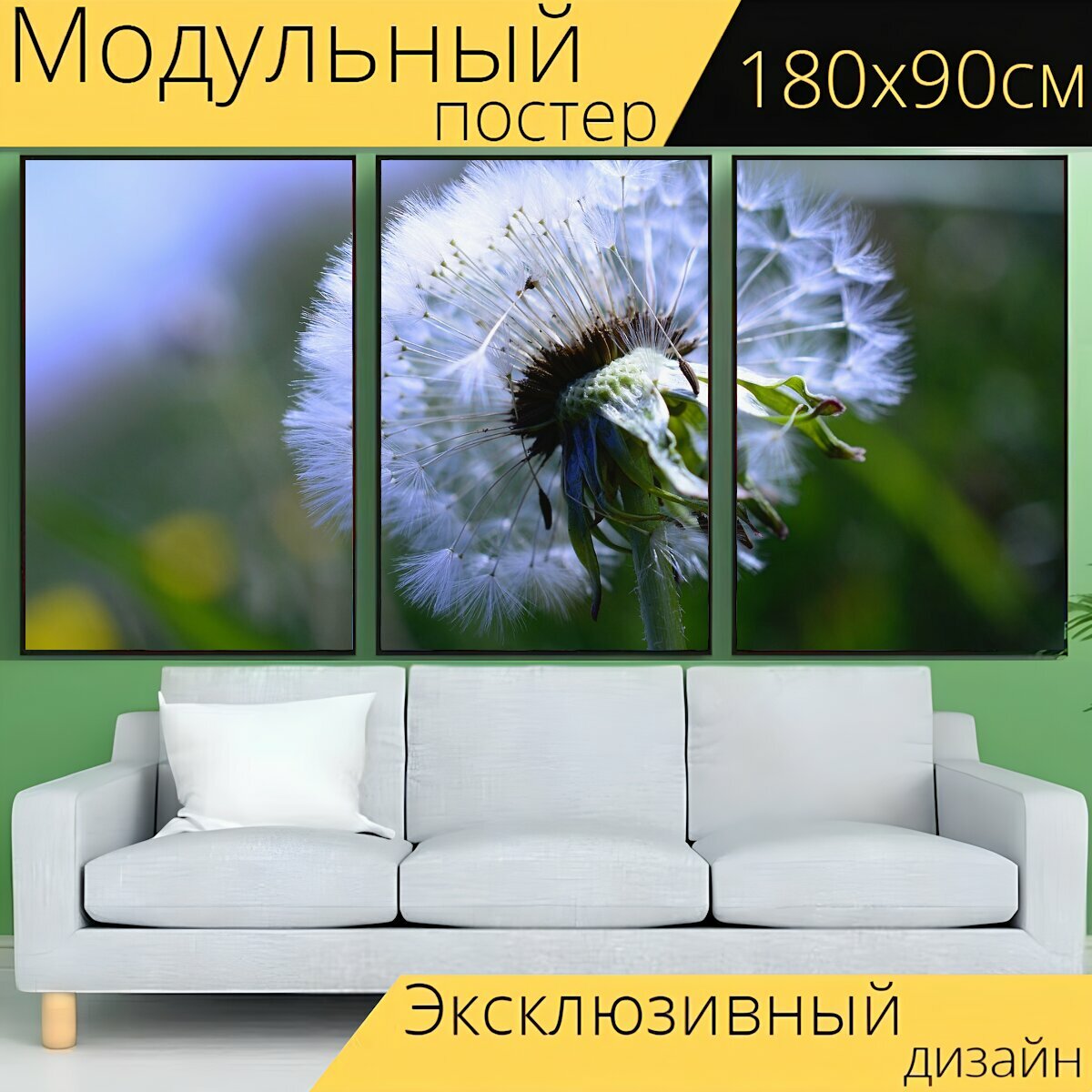 Модульный постер "Одуванчик, одуванчик цветок, семена" 180 x 90 см. для интерьера