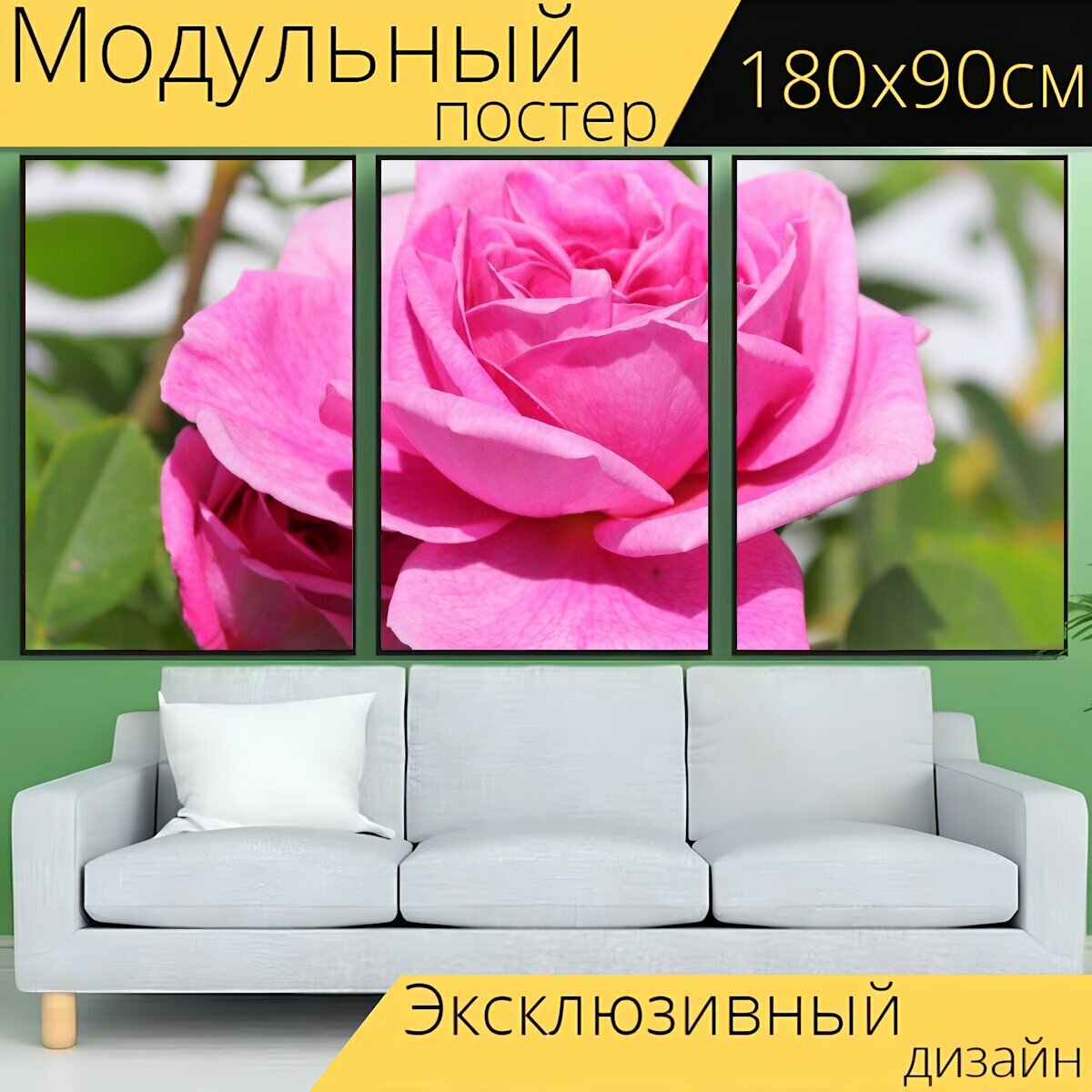 Модульный постер "Роза, розовая роза, розовые лепестки" 180 x 90 см. для интерьера