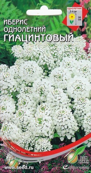 Иберис гиацинтовый Дом Семян 45840