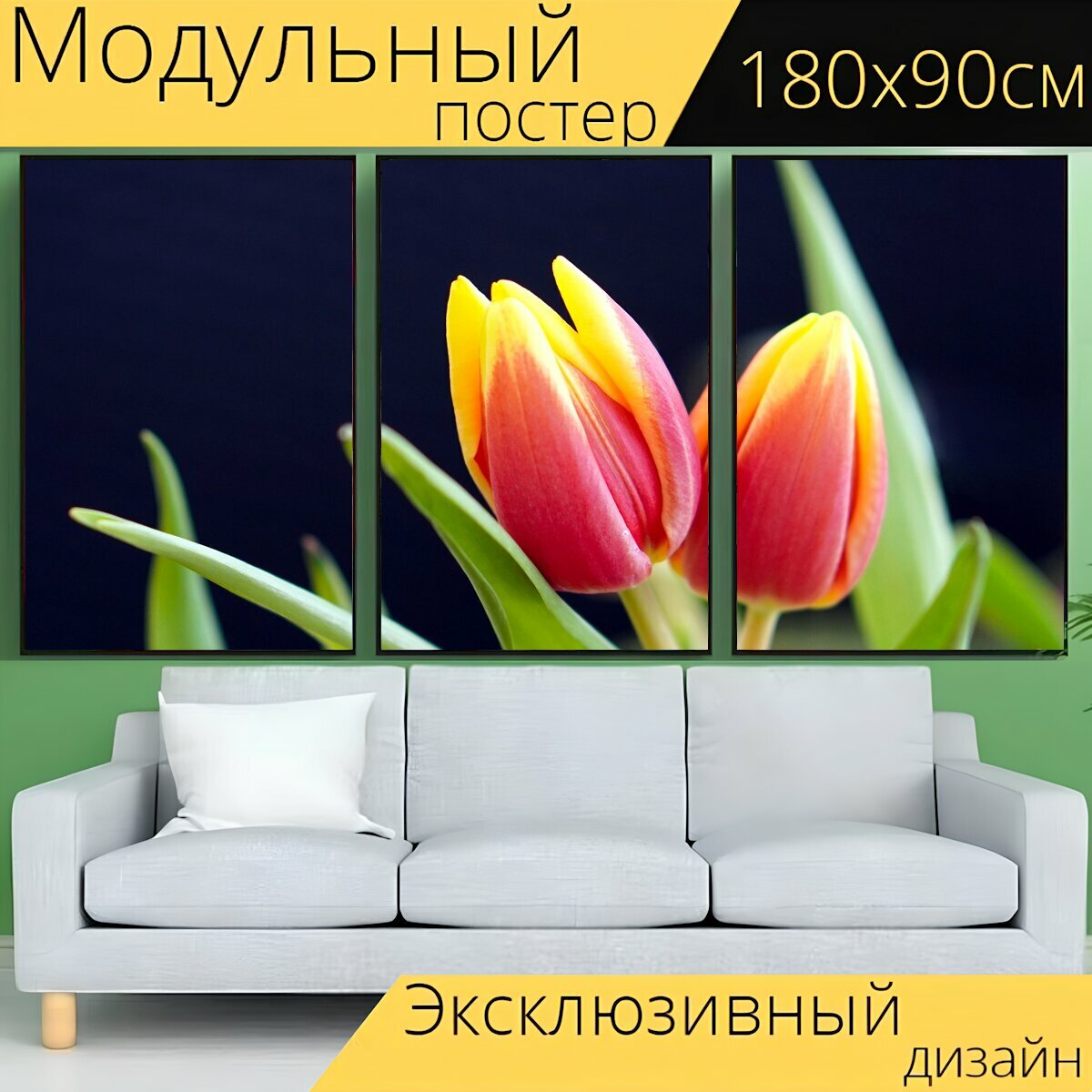 Модульный постер "Тюльпаны, цвести, цветок" 180 x 90 см. для интерьера