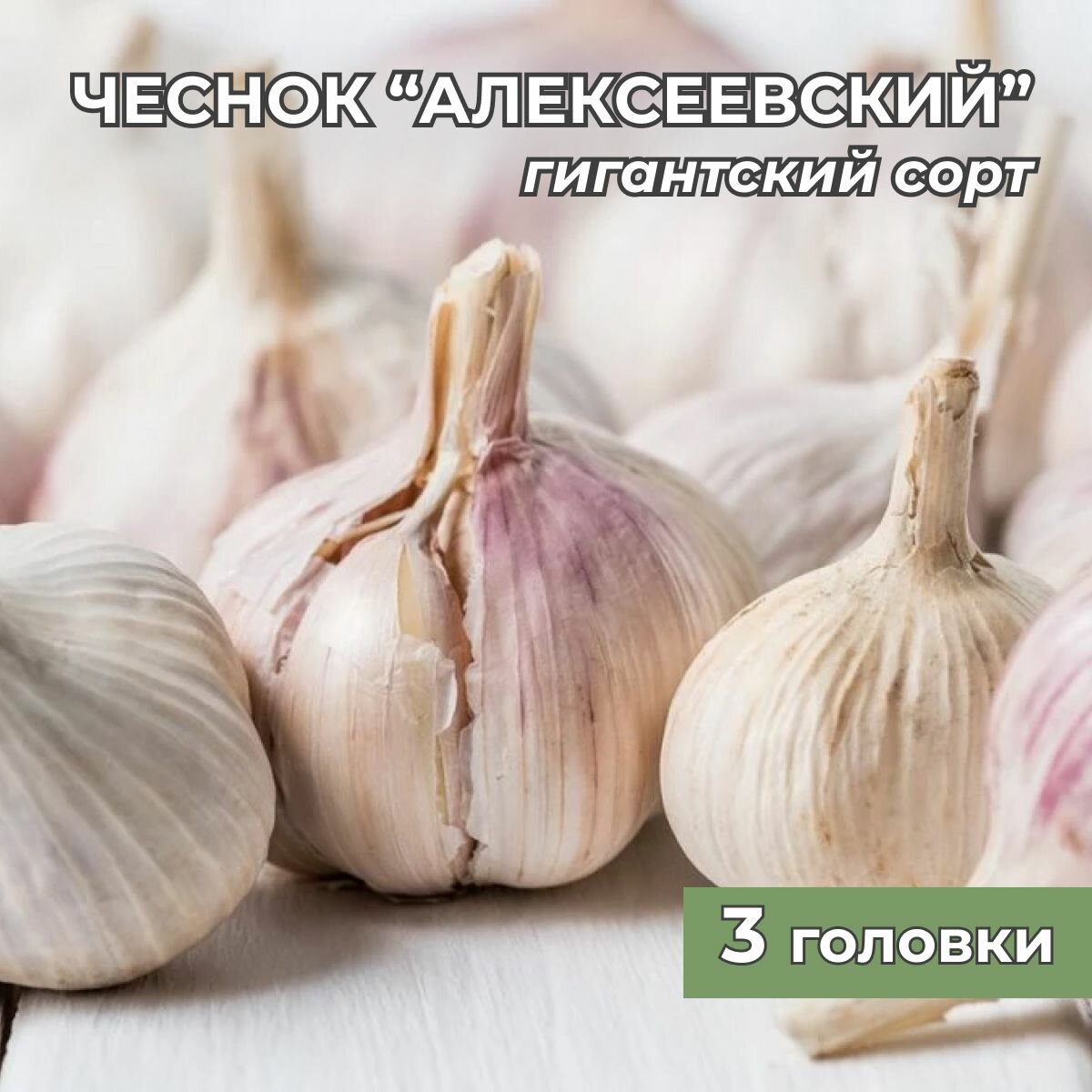 Гигантский...