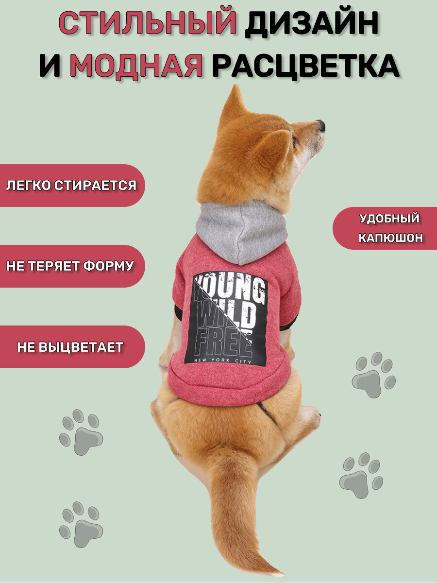 Толстовка для собак мелких, средних и крупных пород, кошек, котов. Худи для собак и кошек. Кофта. Одежда для животных. Красная-Размер-ХXL — фото 1