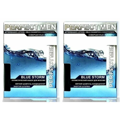 Perfect Men Подарочный набор Blue Storm, Шампунь-кондиционер для волос 250 мл + лосьон после бритья 100 мл, 2 уп