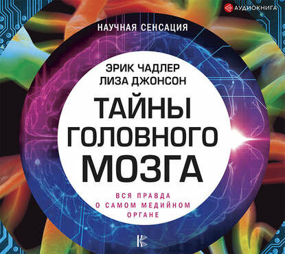 Тайны головного мозга. Вся правда о самом медийном органе - фото №3