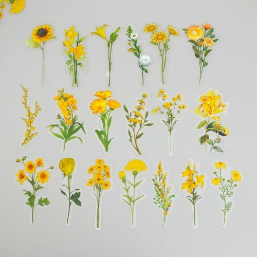 Наклейки для творчества пластик PVC Солнечная поляна набор 40 шт 9х105 см 638₽