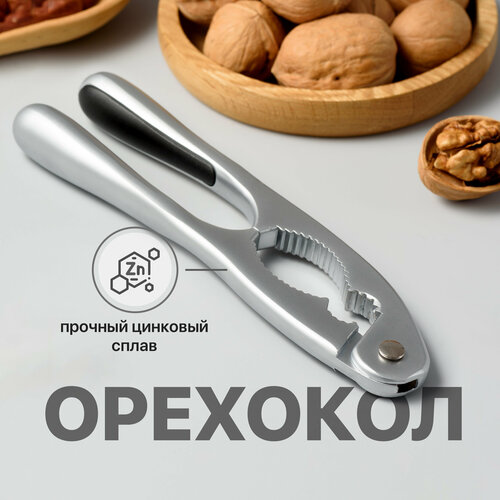 Орехокол Shiny Kitchen для грецких орехов и фундука щелкунчик орехокол для кедровых орехов 741₽