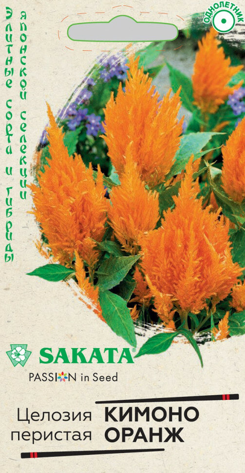 Семена Целозия перистая Кимоно Оранж 8шт Гавриш Элитные сорта и гибриды Sakata 10 пакетиков