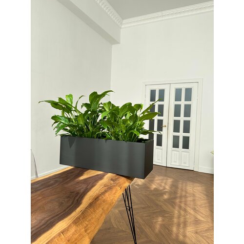 Подставка для цветов . Цветочница . Кашпо .