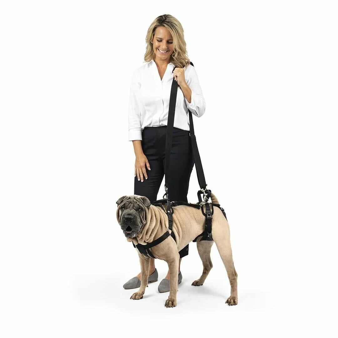 Ходунки поддержка передних и задних лап для больных и пожилых собак PetSafe CareLift, размер M