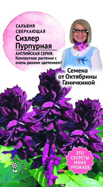 Семена цветов Семена от Октябрины Ганичкиной сальвия Сизлер пурпурный