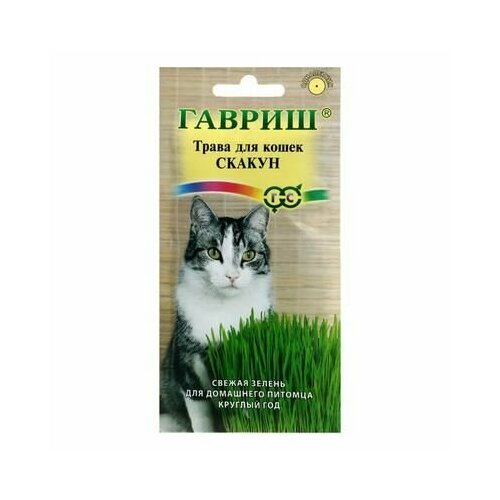 Семена Трава для кошек Скакун, 10 г гавриш семена трава для кошек скакун 10 г