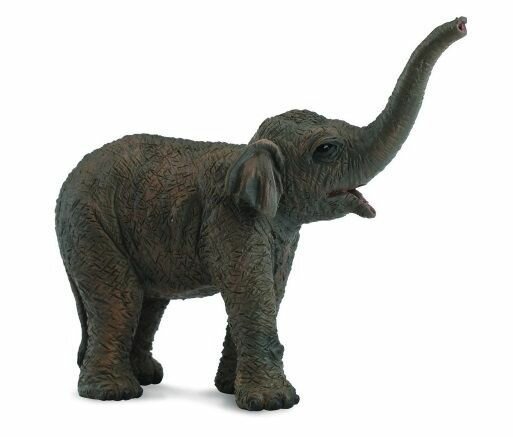 Фигурка Collecta Азиатский слоненок, S 88487b