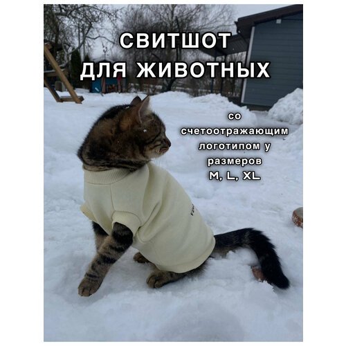 Свитшот для животных ( худи для кошек и собак) Размер XL (35см)