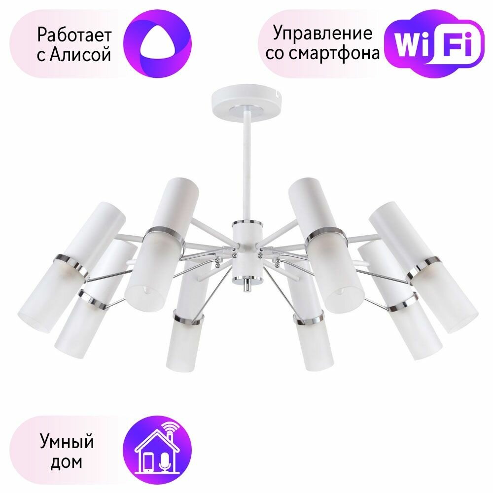 Люстра на штанге F-Promo Viator с поддержкой Алиса 2559-8P-A - фото №1