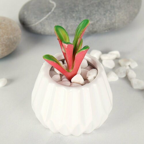 Суккулент искусственный 9 см 341₽