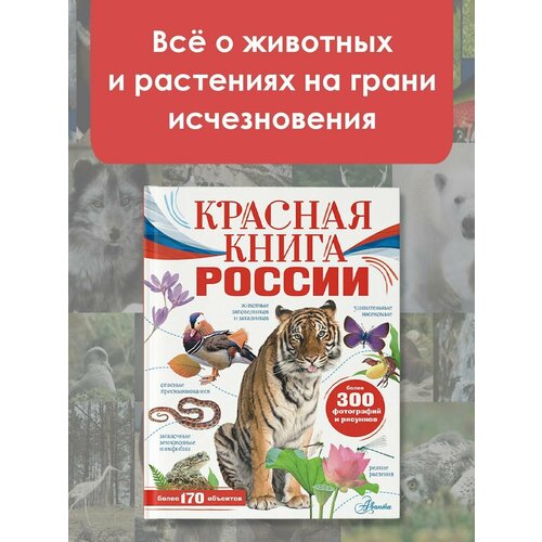 Красная книга России набор красная книга россии шоколад кэт 12 как дожить до пенсии 60г