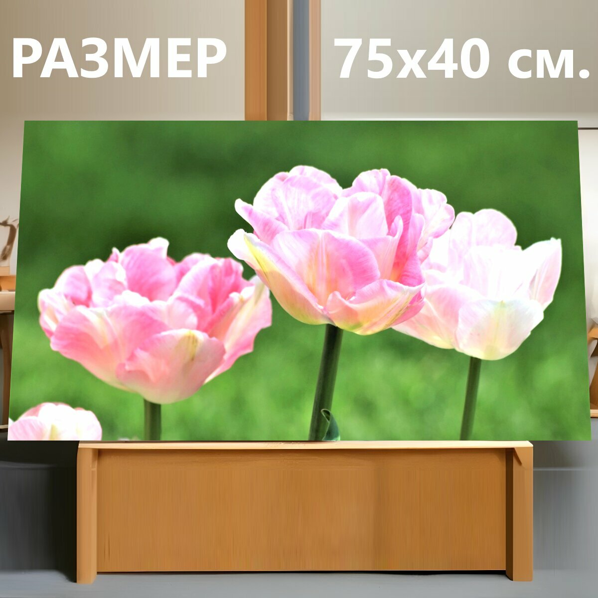 Картина на холсте "Розовые тюльпаны, весна, цветы" на подрамнике 75х40 см. для интерьера