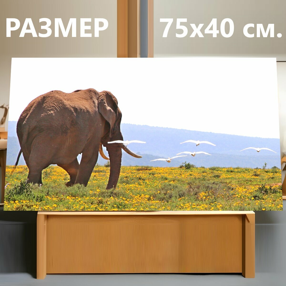 Картина на холсте "Южная африка, слон, заповедник" на подрамнике 75х40 см. для интерьера