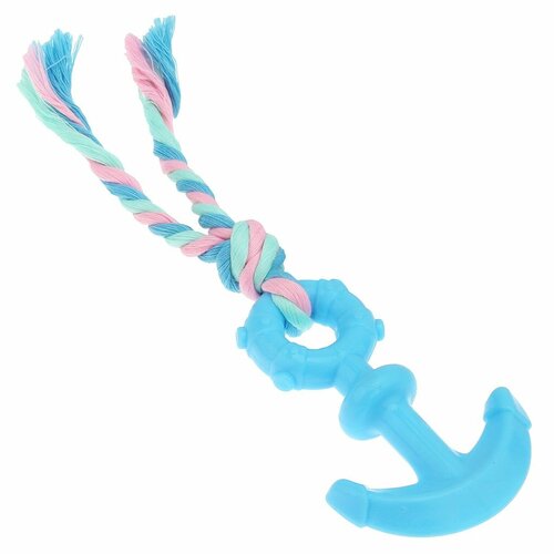 Игрушка для собаки Pet Toys 