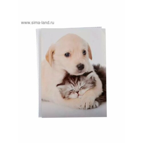 Фотоальбом Puppies and kittens Друзья 36 фото 10х15 см 530₽