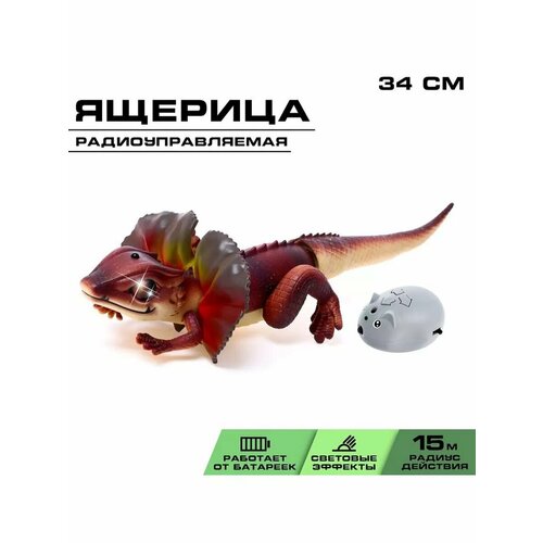 Животное радиоуправляемое Ящерица световые эффекты работ 1236₽