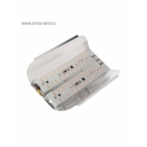 Фитопрожектор светодиодный СДО09-50 50 Вт IP65 220 В 1293₽