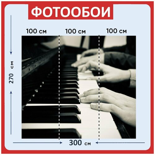 Фотообои Фортепиано музыка черный и белый 300x270 см флизелиновыена стену 3950₽