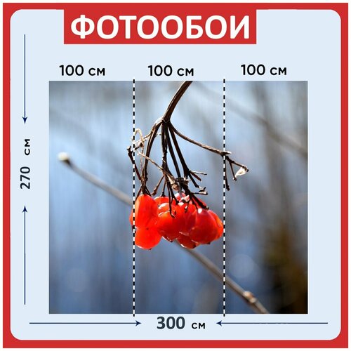 Фотообои Ягоды рябины годом красный 300x270 см флизелиновыена стену 3940₽