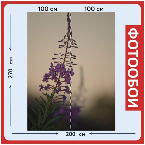 Фотообои Цветы конфеты нежный 200x270 см флизелиновыена стену 2970₽